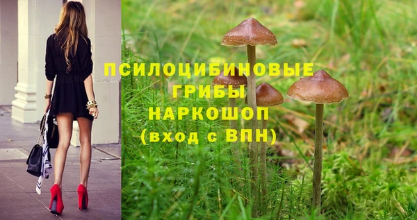 ПСИЛОЦИБИНОВЫЕ ГРИБЫ Новокубанск